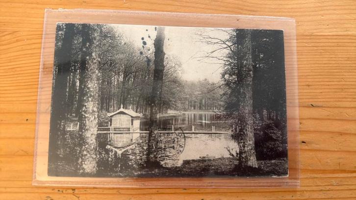 Ansichtkaart Epse Groote Vijver Hassink Epse, Verzamelen, Ansichtkaarten | Nederland, Gelderland, Verzenden