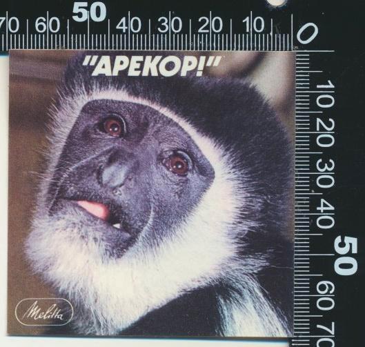 Sticker: Melitta - Apekop, Verzamelen, Stickers, Zo goed als nieuw, Dier en Natuur, Ophalen of Verzenden
