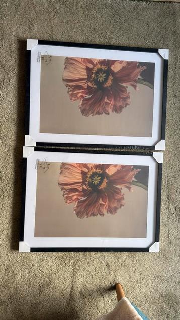 2 fotolijsten 50x70 cm nieuw in verpakking zwart beschikbaar voor biedingen