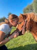 Mini Shetland pony merrie met paspoort, Dieren en Toebehoren, Pony's, Merrie, Gechipt, Zadelmak, A pony (tot 1.17m)