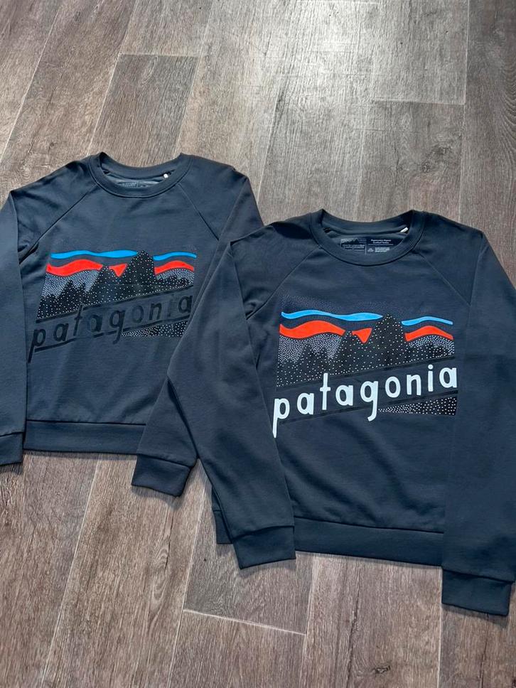 Bundel van 2 Patagonia Sweaters - Nieuw - Maat M, Kleding | Dames, Truien en Vesten, Zo goed als nieuw, Maat 38/40 (M), Blauw