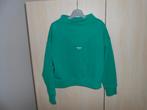 Nieuwe groene sweater maat 128 van Raizzed, Meisje, Trui of Vest, Nieuw, Ophalen of Verzenden
