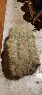 Hooipakjes/baaltjes, Ophalen of Verzenden, Vee