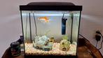 Aquarium incl goudvis + 2 garnalen, Dieren en Toebehoren, Ophalen, Zo goed als nieuw, Gevuld zoetwateraquarium