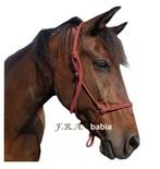 FRA Babia rij/trainingshalster, Ophalen of Verzenden, Nieuw, Overige soorten