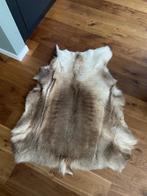 Huid van ree, Ophalen, 100 tot 150 cm, 50 tot 100 cm, Zo goed als nieuw