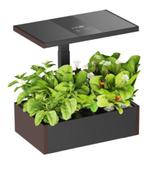 VDD Kweekbak - Indoor Garden - Binnentuin met Ledverlichting, Ophalen, Nieuw, Kweekbak