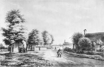(386-254-017) Dordrecht Krispijn beschikbaar voor biedingen
