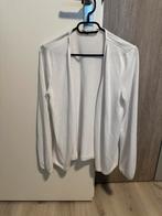 Vest, Ophalen of Verzenden, Gedragen, Maat 36 (S), Overige kleuren