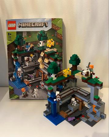 Lego Minecraft 21169 - Compleet & in goede staat beschikbaar voor biedingen