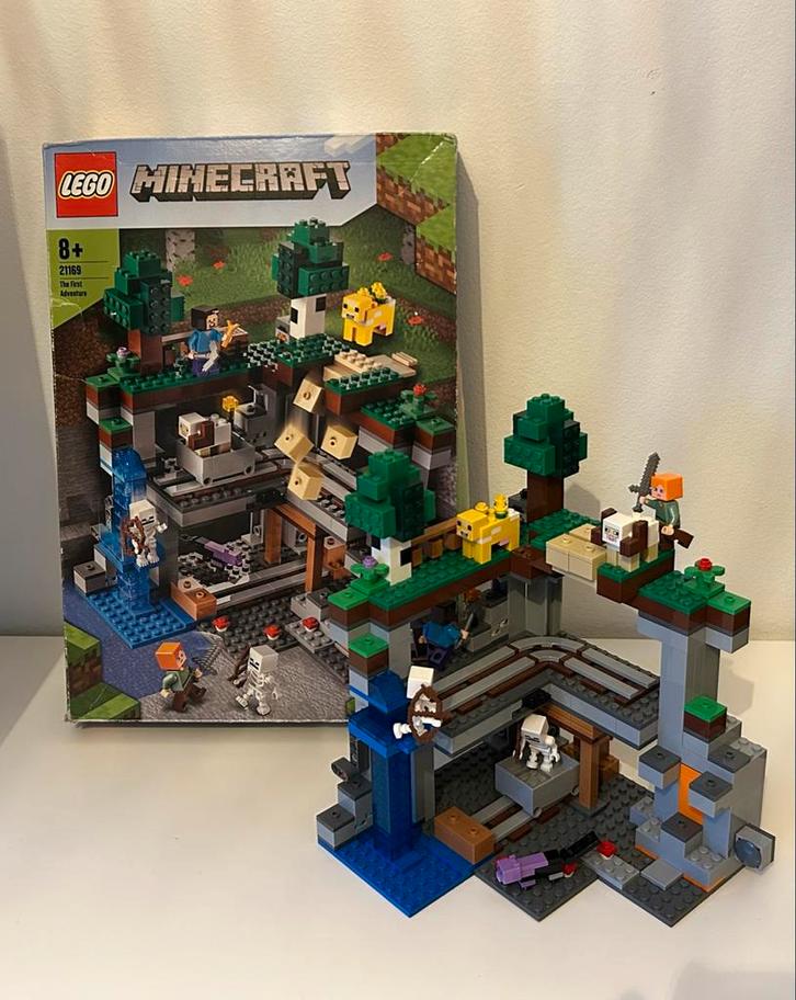 Lego Minecraft 21169 - Compleet & in goede staat, Kinderen en Baby's, Speelgoed | Duplo en Lego, Zo goed als nieuw, Lego, Complete set