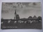 N91 Texel Den Hoorn - kerkje en schapen - 1969, Verzenden, 1960 tot 1980, Gelopen, Waddeneilanden