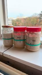 Zuurdesemstarter – wit, rogge of spelt (2 jaar oud), Diversen, Levensmiddelen, Ophalen
