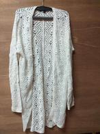 vest maat 170, Kinderen en Baby's, Kinderkleding | Maat 170, Ophalen of Verzenden, Zo goed als nieuw, Meisje, Trui of Vest