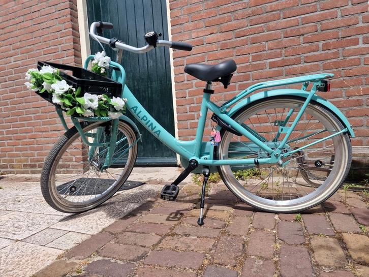 Alpina Meisjesfiets 22 inch - ZGAN!, Fietsen en Brommers, Fietsen | Meisjes, Zo goed als nieuw, 22 inch, Handrem, Ophalen