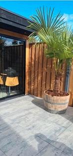 Eikenhouten!bloembakken kunnen het hele jaar buitenstaan, Tuin en Terras, Ophalen, Rond, Nieuw, Tuin