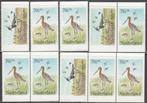 Nederland alle zegels en combinaties boekje 30 Weidevogels, Ophalen of Verzenden, Na 1940, Postfris