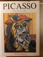 Picasso door Josep Palau i Fabre, Ophalen of Verzenden