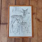 Vintage ingelijste tekening herten - H. Koolhof, Ophalen of Verzenden