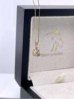 Antiek Gouden Spiegelchaton Hangertje Roos Diamant, Gebruikt, Overige voorstellingen, -, Ophalen of Verzenden