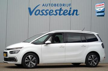 Citroen Grand C4 SpaceTourer 1.2 PureTech Business / 7 Pers  beschikbaar voor biedingen