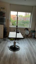 Hond laten plukken, Diensten en Vakmensen, Trimmen of Verzorging