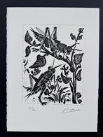 Pablo Picasso / Buffon / S.P.A.D.E.M. 1972, Ophalen of Verzenden