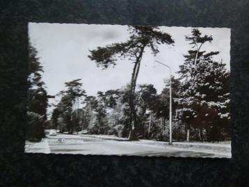 NUNSPEET Elspeterweg      F beschikbaar voor biedingen