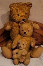 Teddyberen, begin 60er jaren, 70 cm, 45 cm, 20 cm, Gebruikt, Ophalen of Verzenden, Beer