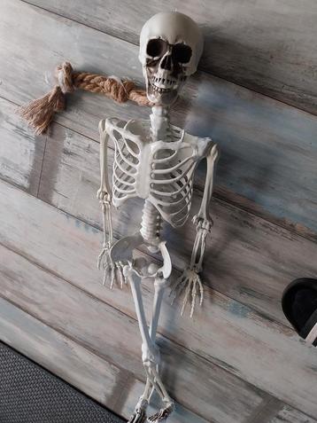 Klein Skelet Halloween Decoratie beschikbaar voor biedingen