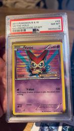 Victini STAFF, Ophalen of Verzenden, Nieuw, Losse kaart