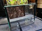 Terrarium 25x25x20 met achterwand, Dieren en Toebehoren, Reptielen en Amfibieën | Toebehoren, Ophalen, Gebruikt