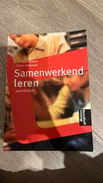 Samenwerkend Leren S. Ebbens, Boeken, Ophalen of Verzenden, Zo goed als nieuw, S. Ebbens