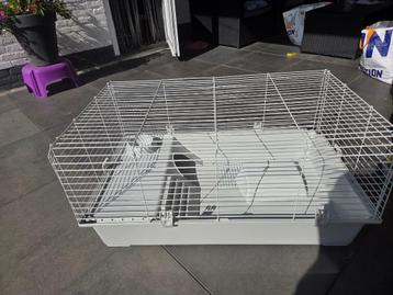 Konijnen of cavia kooi beschikbaar voor biedingen