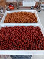 freezer baits op aanvraag, Ophalen, Nieuw, Overige typen