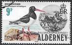 Alderney 1984 mi.13  vogel SCHOLEKSTER, Verzenden, Overige landen, Gestempeld