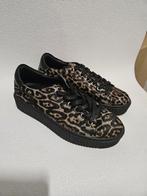 Sneakers dames maat 36 Nieuw Maruti, Ophalen of Verzenden, Nieuw, Sneakers of Gympen