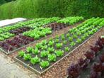 Gezocht: stukje grond voor moestuin huren omgeving Enschede, Ophalen, Nieuw