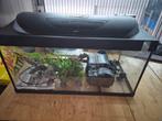 Tetra aqarium met toebehorenen, Dieren en Toebehoren, Vissen | Aquaria en Toebehoren, Ophalen, Zo goed als nieuw, Leeg aquarium