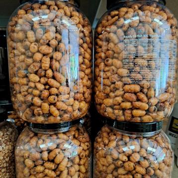 XXL Tijgernoten 3 liter pot 15,00 beschikbaar voor biedingen