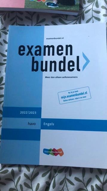 Tineke van Putten - havo Engels 2022/2023 beschikbaar voor biedingen