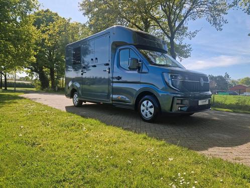 New Renault Master 2025 STX automatic with a Pro-Safety stal, Dieren en Toebehoren, Paarden en Pony's | Trailers en Aanhangwagens