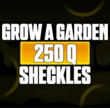 250QA sheckles | gag | super snel!! beschikbaar voor biedingen