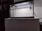 Juwel Aquarium met verlichting 60L, Dieren en Toebehoren, Ophalen, Gebruikt, Leeg aquarium