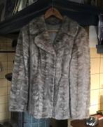Bontjas maat m, Kleding | Dames, Jassen | Winter, Ophalen of Verzenden, Zo goed als nieuw, Maat 38/40 (M), Grijs