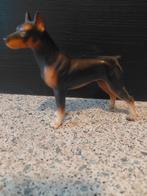 Dobermann pincher, Ophalen of Verzenden, Dier