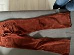 Roestbruine ribfluwelen broek, Overige kleuren, Sissyboy, Overige jeansmaten, Ophalen of Verzenden