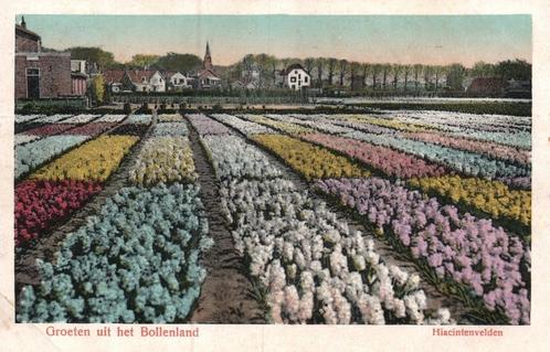 Bollenland, Hyacinthenvelden (1924) 129654, Verzamelen, Ansichtkaarten | Nederland, Gelopen, Zuid-Holland, 1920 tot 1940, Verzenden