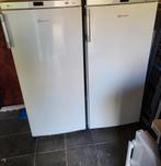 Vriezer en koeler, Witgoed en Apparatuur, Vriezers en Diepvrieskisten, Ophalen, Gebruikt, 60 tot 90 cm