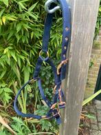 Pony halster, Dieren en Toebehoren, Ophalen, Nieuw, Overige soorten